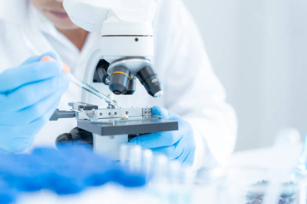 A researcher in blue gloves pipetting a sample onto a microscope slide in a bright laboratory.