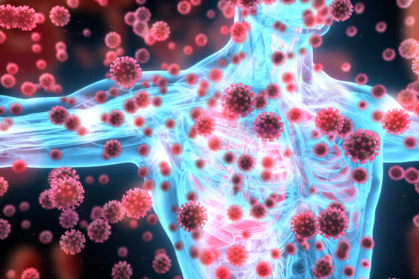 A translucent blue human torso surrounded by red virus-like particles, illustrating the body's immune environment.